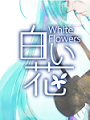 白い花 official site
